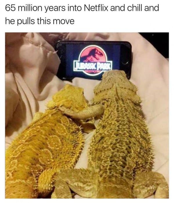 memes-to-send-your-crush-3