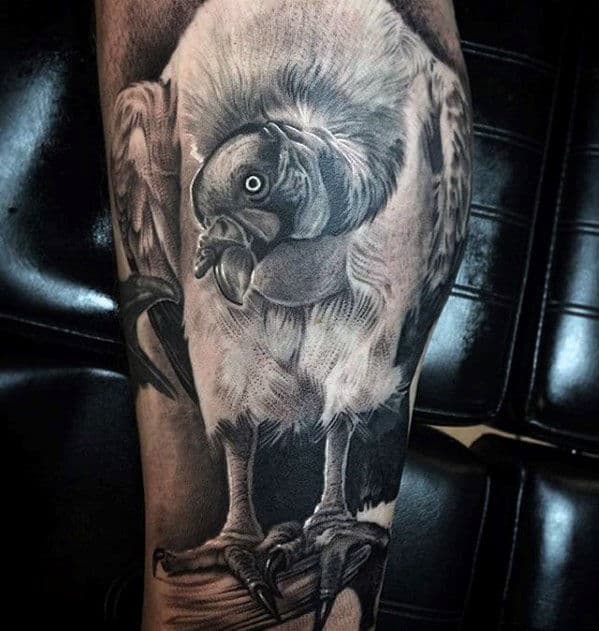 Mens 3d Realistic Tattoo Of Vulture Sleeve