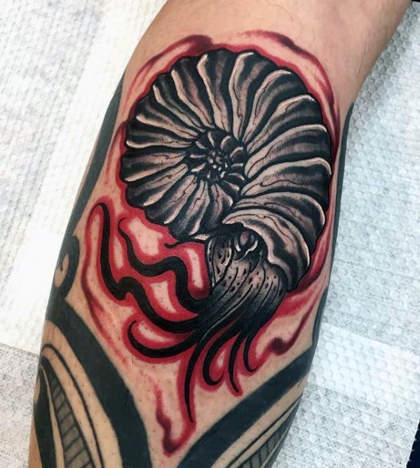 Mens Ammonite Tattoo Design Inspiration On Leg