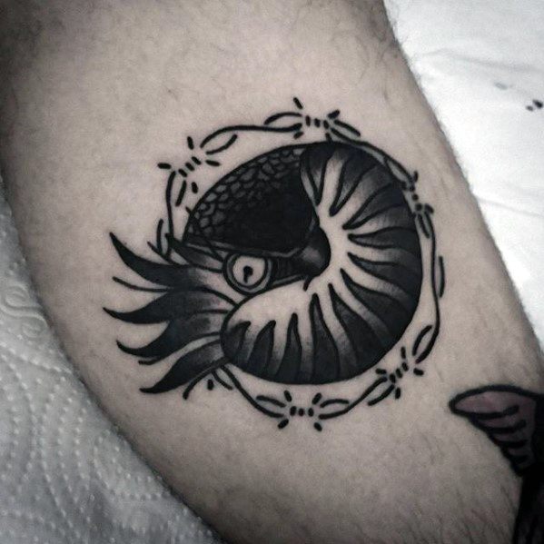 Mens Ammonite With Barb Wire Traditional Leg Tattoo Ideas