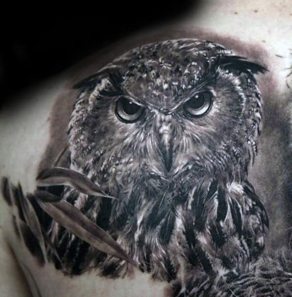 Mens Back Of Shoulder Shaded Realistic Owl Tattoo