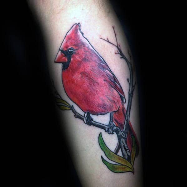 Mens Cardinal Bird Sitting On A Tree Branch With Green Leaves Forearm Tattoo