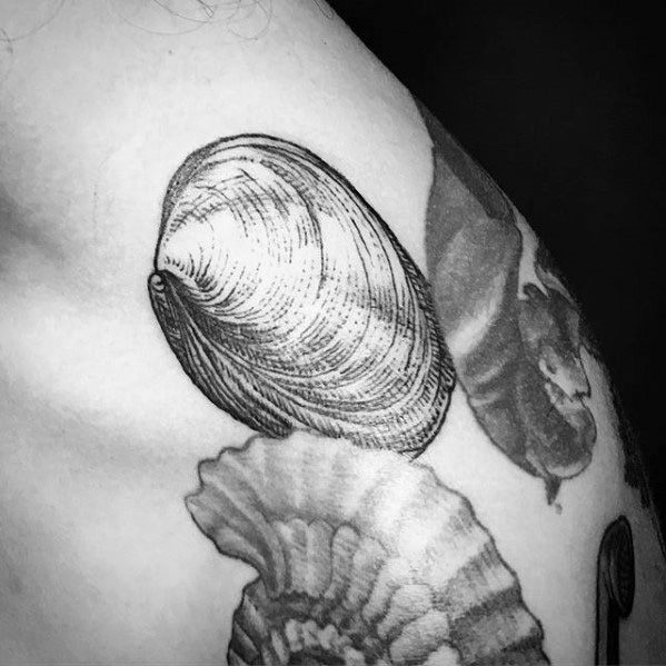 Fine line clam shell tattoo on the shoulder with detailed etching-style lines and a realistic, natural texture.
