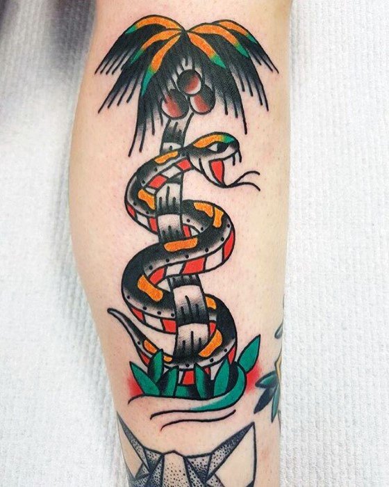 Traditional-style tattoo of a coconut palm tree with coconuts and an orange-striped snake coiled around the trunk, placed on the leg.