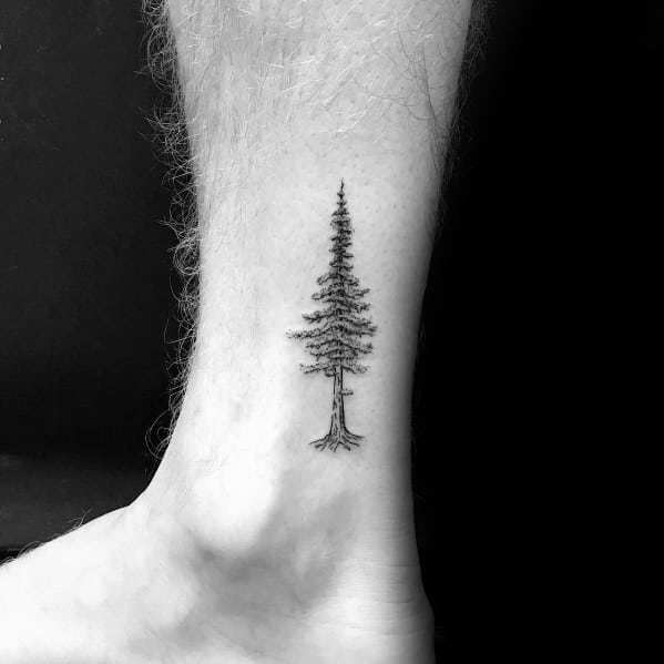 Black and white tattoo of a pine tree on an ankle
