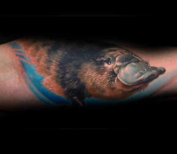 Mens Forearm Tattoo Ideas With Platypus Design