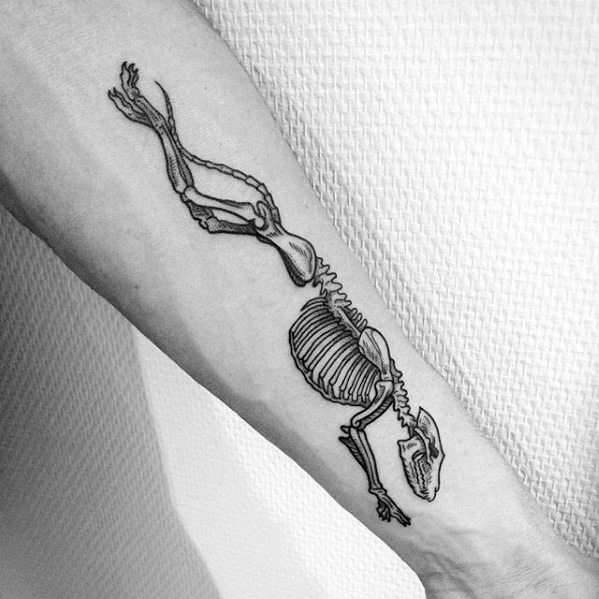A unique tattoo featuring the skeletal structure of a greyhound in motion, drawn in fine black lines, showcasing its detailed bones and anatomy.