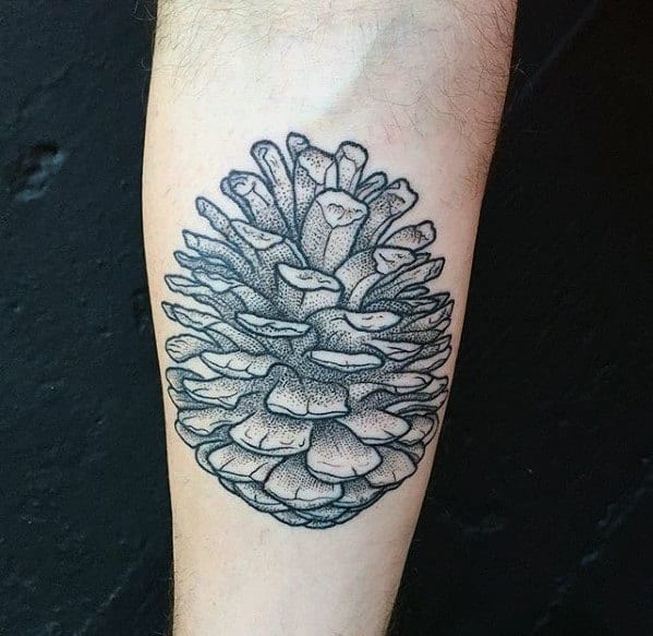 Mens Inner Forearm Dotwork Detailed Pine Cone Tattoo Ideas