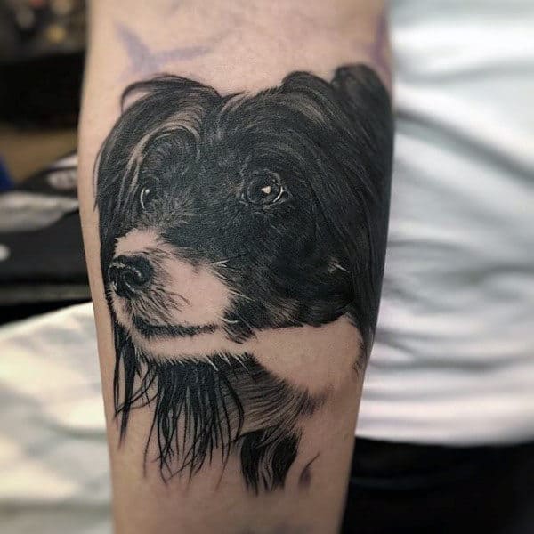 Mens Inner Forearm Papillion Dog Tattoos