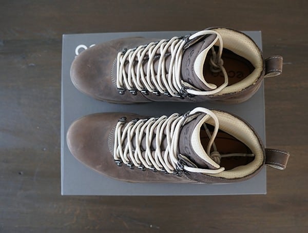 Mens Lace Up Boots Ecco Track 25 Hydromax