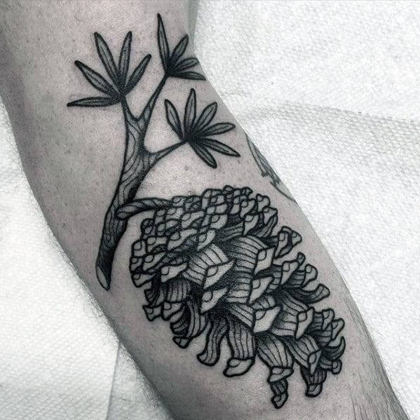 Mens Pine Cone With Tree Branch Forearm Tattoo