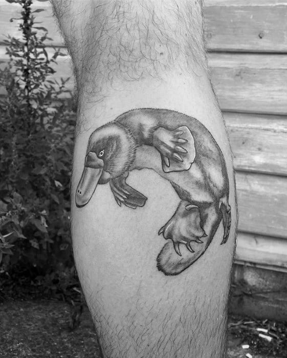 Mens Platypus Tattoo Design Inspiration On Leg Calf