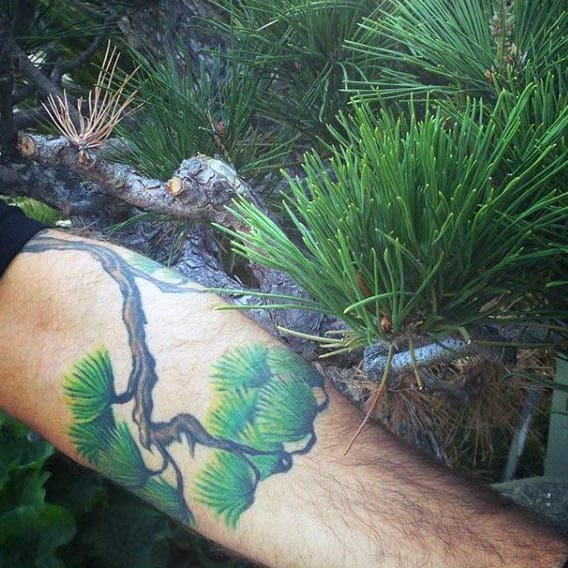 Mens Realistic Inner Forearm Bonsai Tree Tattoo Ideas