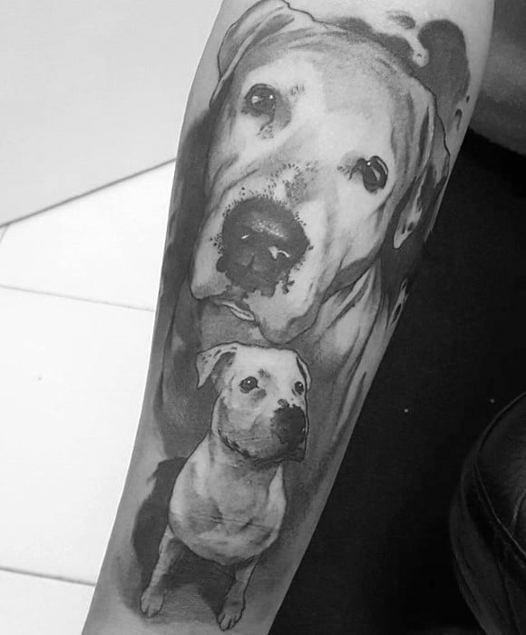 Mens Shaded Black And Grey Pitbull Tattoo Ideas On Forearm