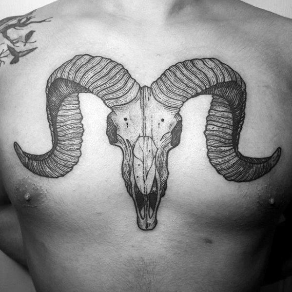 Tattoo of a ram skull with large, curved horns on a person's chest