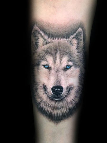 Realistic Siberian Husky tattoo on a man's forearm, featuring intricate fur details, piercing blue eyes, and soft shading for a lifelike appearance.