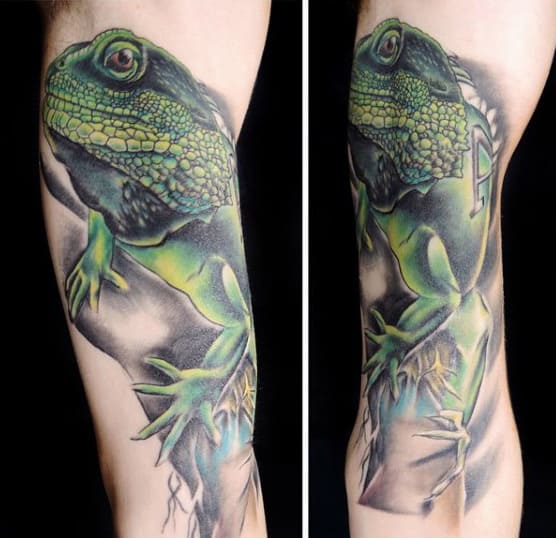 Mens Sleeve Nocturnal Lizard Tattoo