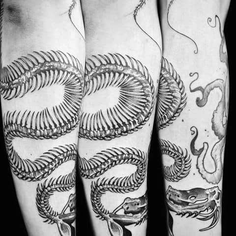 Snake skeleton tattoo on the forearm, featuring intricate rib details and a coiled design with bold shading for a striking and dynamic look.