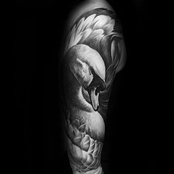 Realistic black and grey swan tattoo on upper arm, showcasing soft feather detailing and graceful curvature for a serene, elegant look.