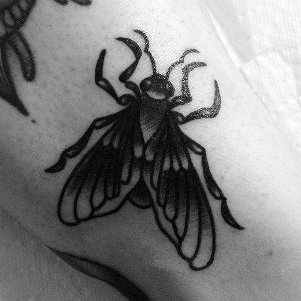 Bold blackwork fly tattoo with thick outlines and dark shading, featuring stylized wings and abstract leg shapes for a dramatic design.