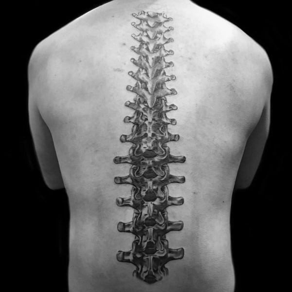 It looks like the image couldn’t be processed due to an error. You can try re-uploading the file or uploading a different version if available. Let me know once it's up, and I’ll help with the alt text!