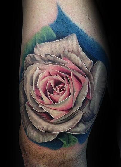 Realistic pink and white rose tattoo with green leaves on skin