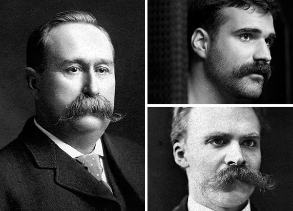 Mens Walrus Mustache Style