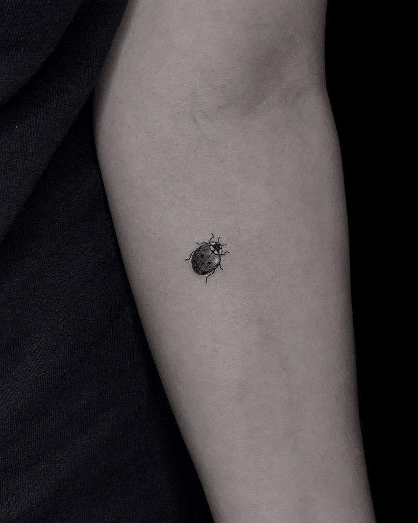 Minimalist micro ladybug tattoo in black and grey, featuring fine details for a delicate and subtle nature-inspired design on the arm.