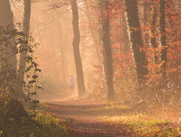 Mind Over Matter Male Lessons For Life