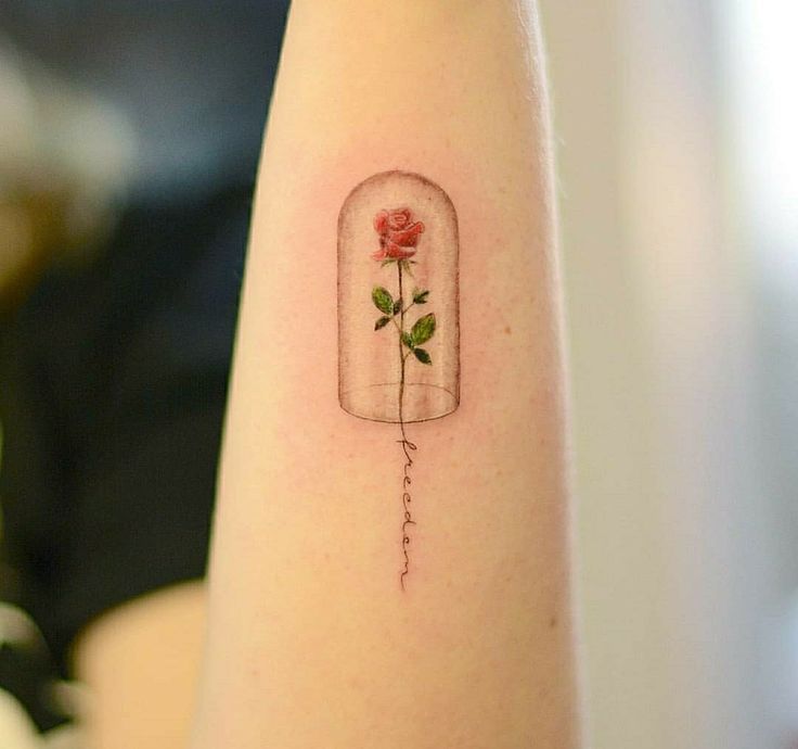 Delicate fine-line tattoo of the enchanted rose in a glass dome, with the word 'freedom' elegantly scripted along the stem.