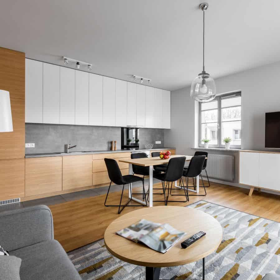 large minimalist open kitchen and living room