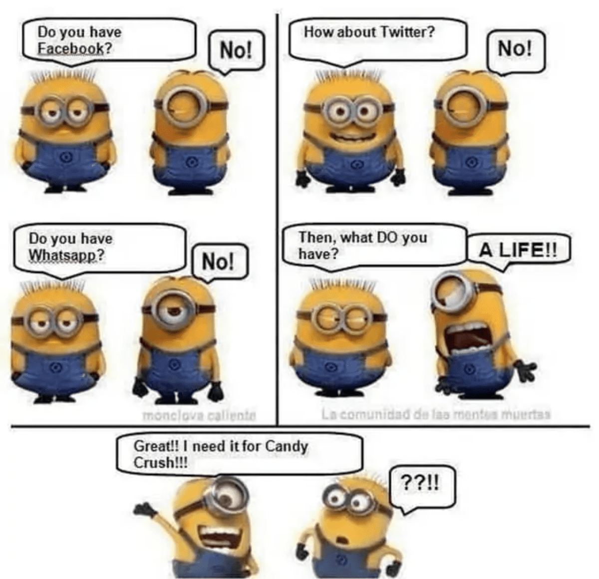 minion-memes-2