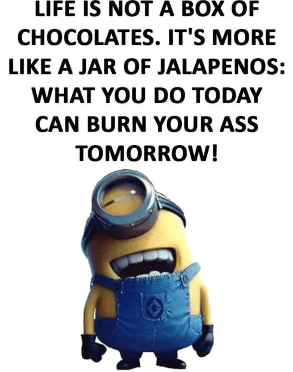minion-memes-5