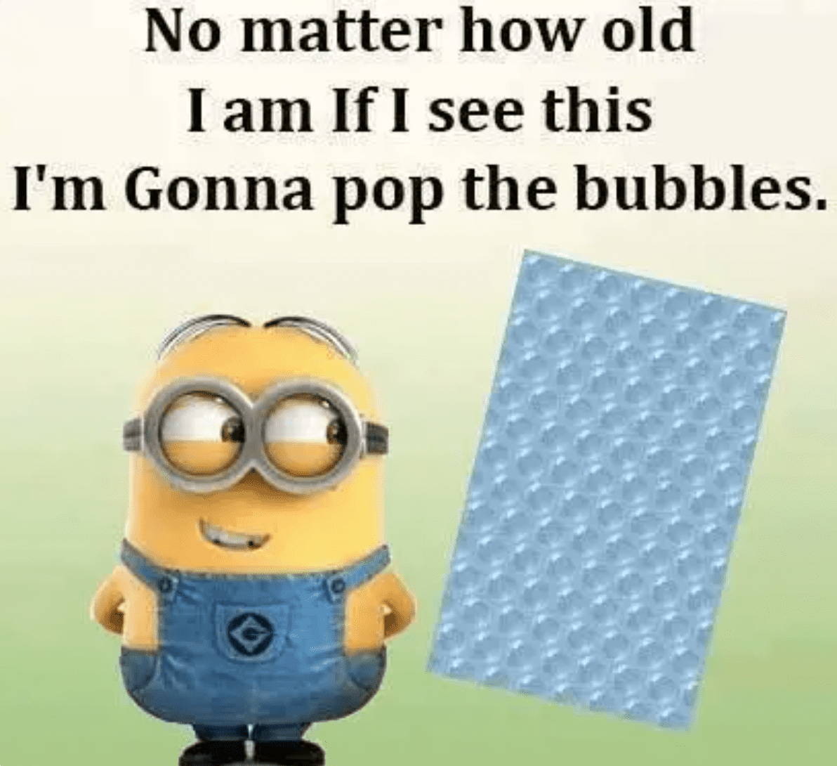 minion-memes-6