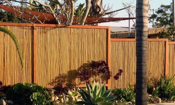Bamboo privacy fence with wooden framing, surrounded by succulents and desert landscaping.