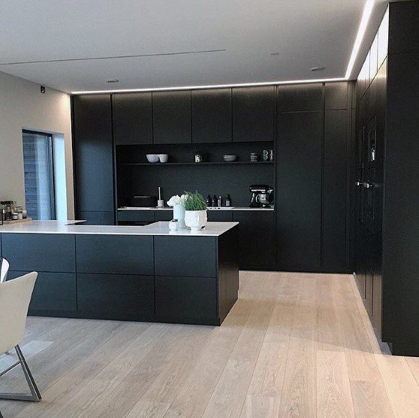 Modern kitchen with black cabinetry, minimalist design, and light wood flooring.