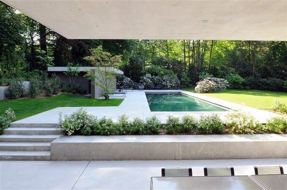 Modern backyard with sleek pool, concrete patio, lush greenery, and minimalist landscaping.