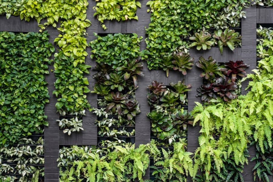 modern design vertical garden
