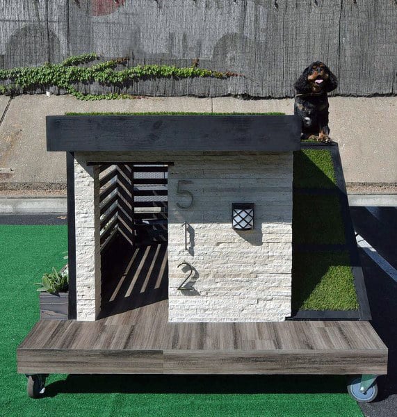 Stylish modern dog house with a grassy roof, wooden exterior, number "512" on the side, and a small light fixture, with a dog sitting on top