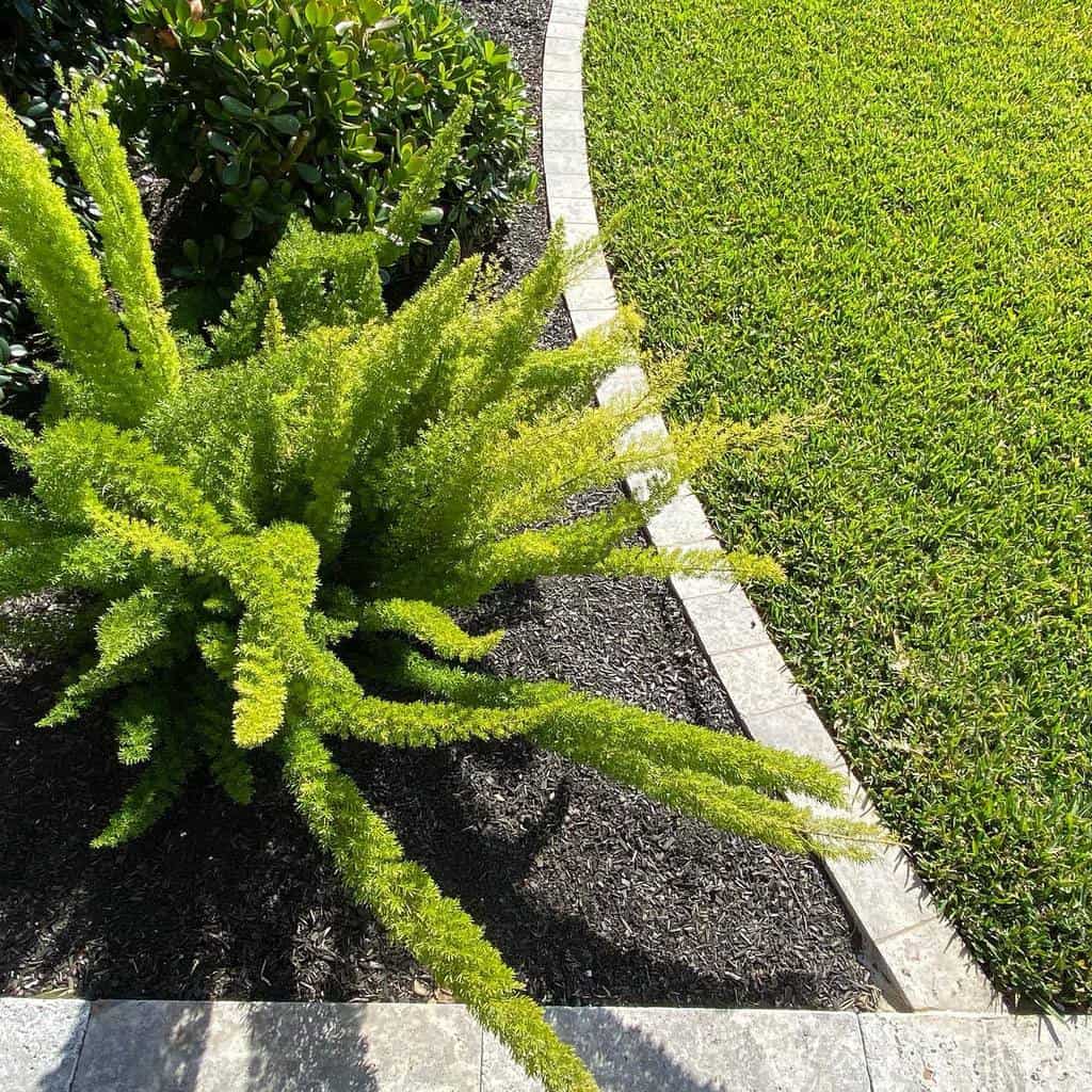 modern garden edging ideas stone pavers