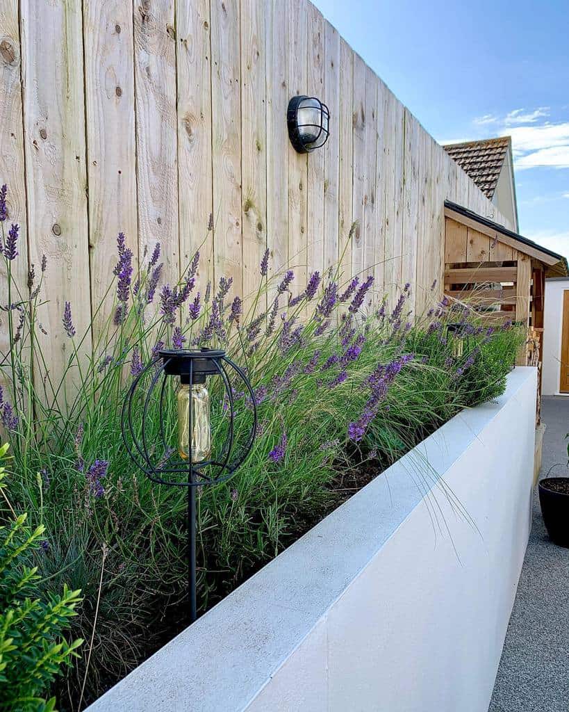 wood panel garden wall lavender sconces light