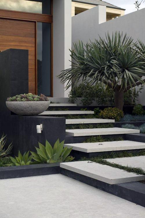 Modern front yard with floating concrete steps, succulents, and a sculptural tree.