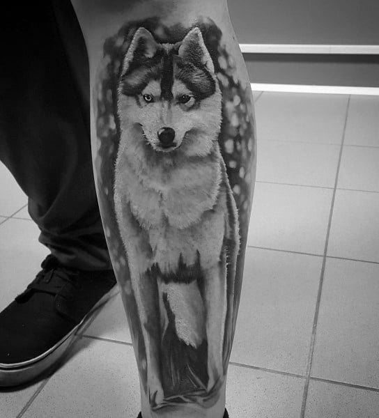 Hyper-realistic Siberian Husky tattoo on a man's leg, featuring detailed fur texture, intense eyes, and a soft-focus background for depth.