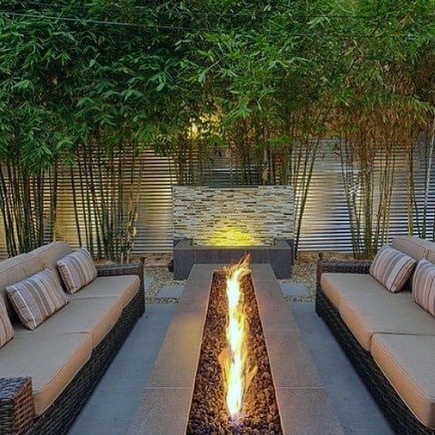 bamboo lined patio