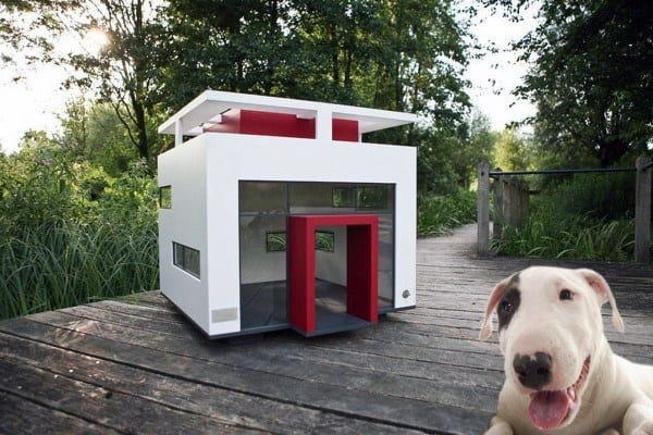 Modern doghouse with large glass windows on a wooden deck and red accents