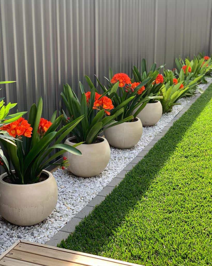 narrow fence garden with pot plants and lawn