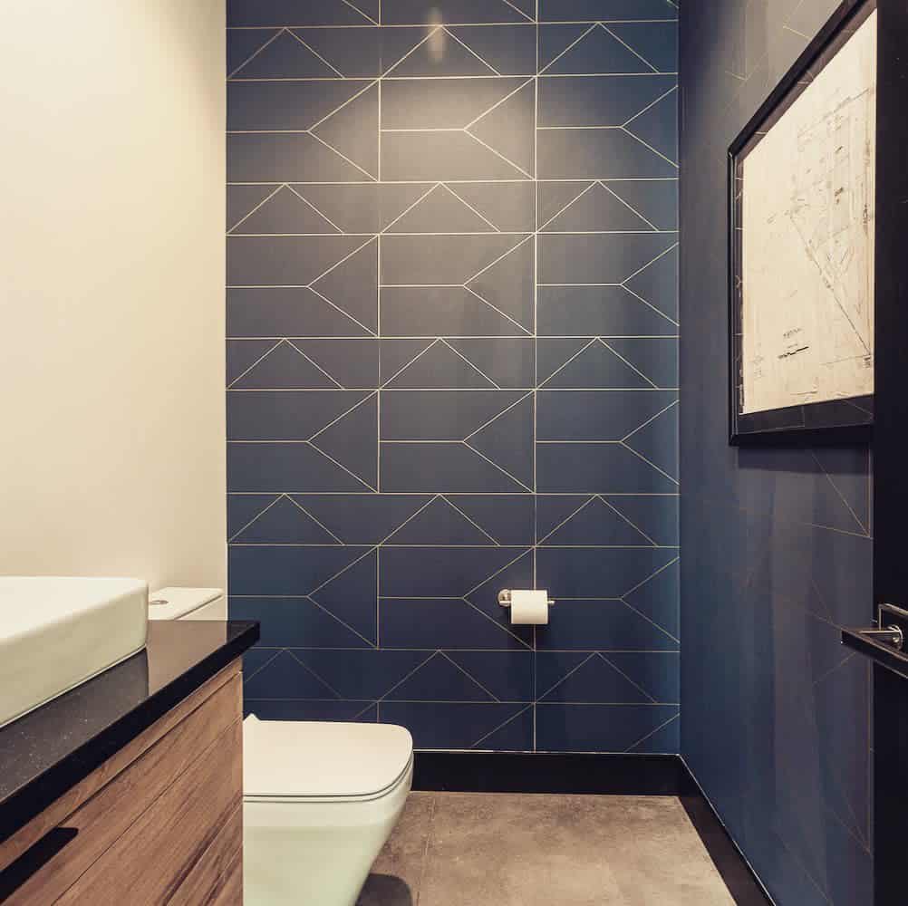 blue wall covering toilet
