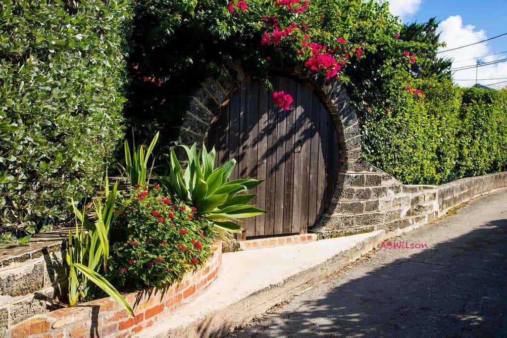 wood moon gate large green shrubs
