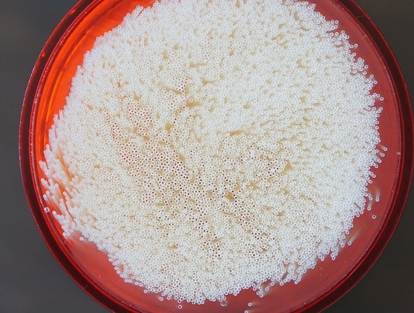 Msr Guardian Purifier Hollow Fiber Cartridge To Treat Water