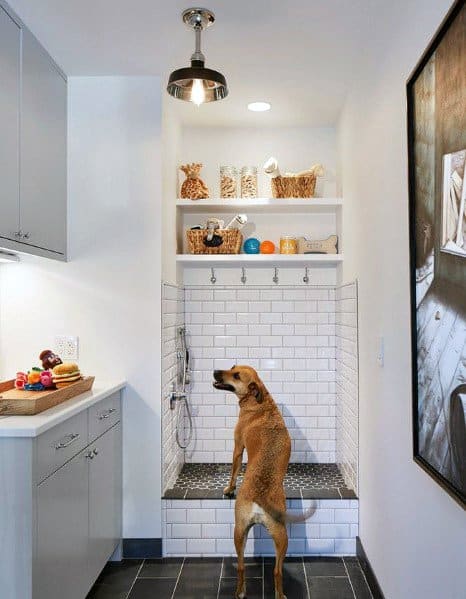 Mudroom Dog Bathing Area Design Ideas
